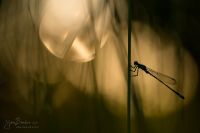 Concours Agrinature 2026
